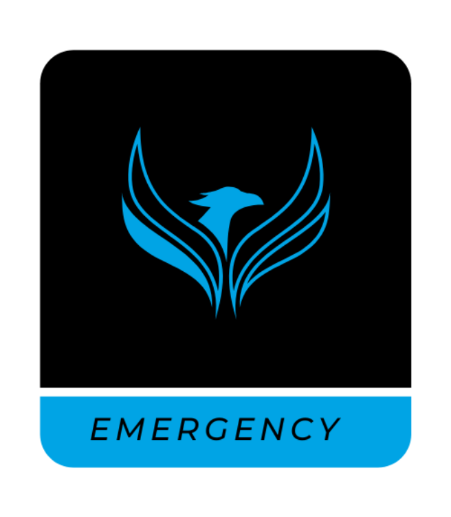 Air Mobility